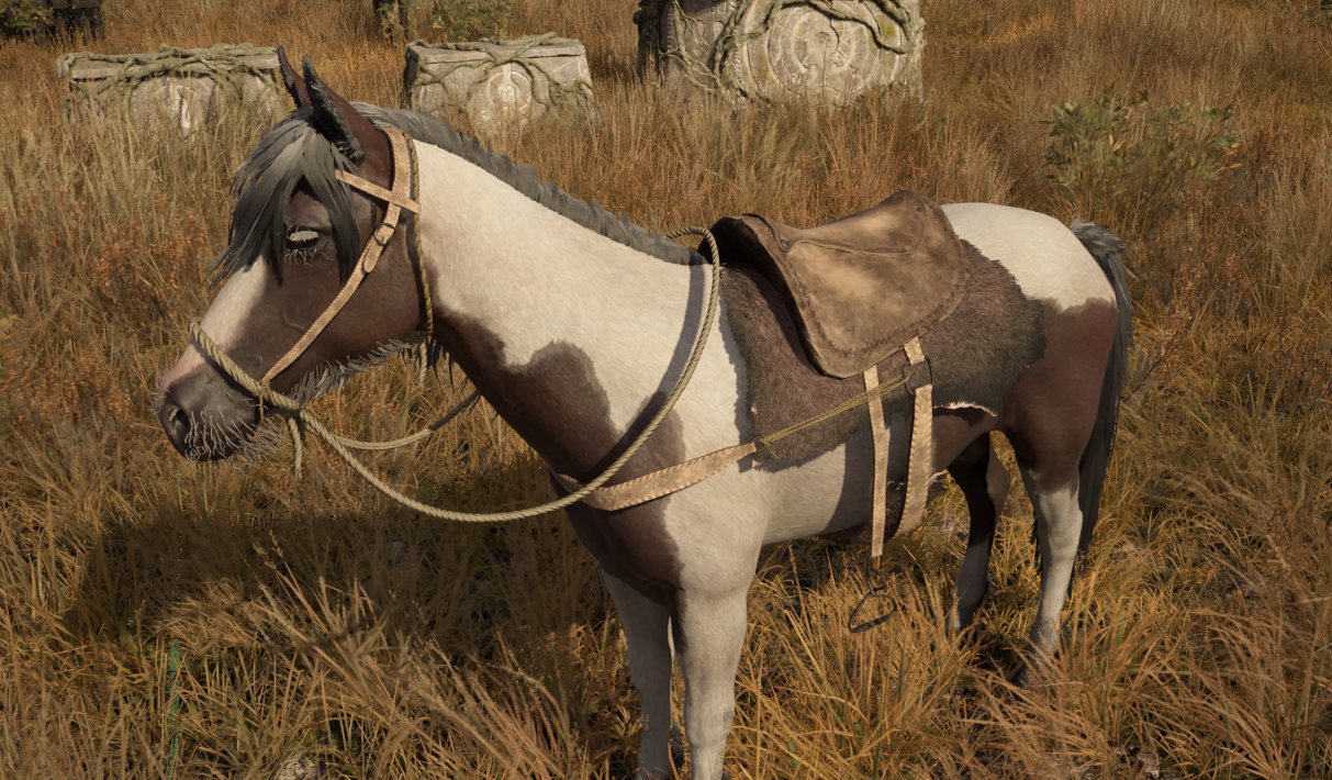 Caballo pinto marrón y blanco con una silla sencilla, parado en un campo de hierba seca
